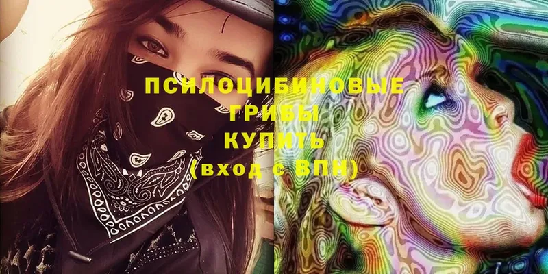 Галлюциногенные грибы Magic Shrooms  Бузулук 